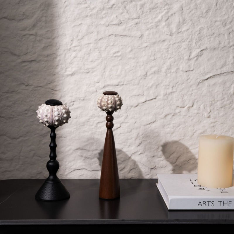 Interior Design Exhibition - 창의적인 소라 조각품, 수공예 바다에서 영감을